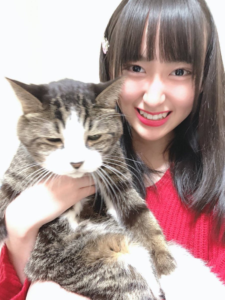 やる気のない猫とそれを見て笑う少女 。 最後の 2 枚なんか光っちゃっ