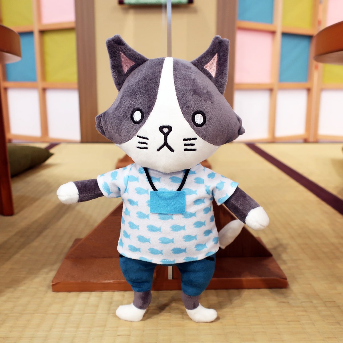 猫ひたいほどワイド 小林希大 オンラインくじ 猫ひたいほどワイド 小林