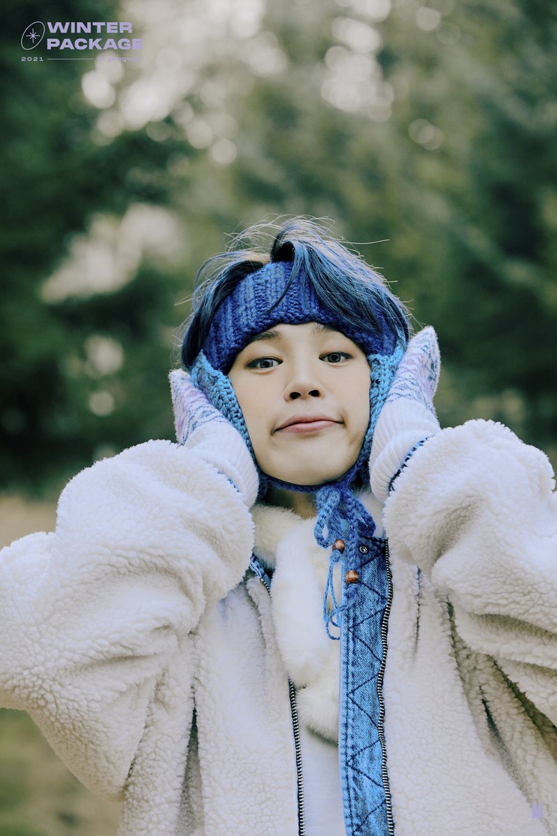 テヒョン Winter package BTS