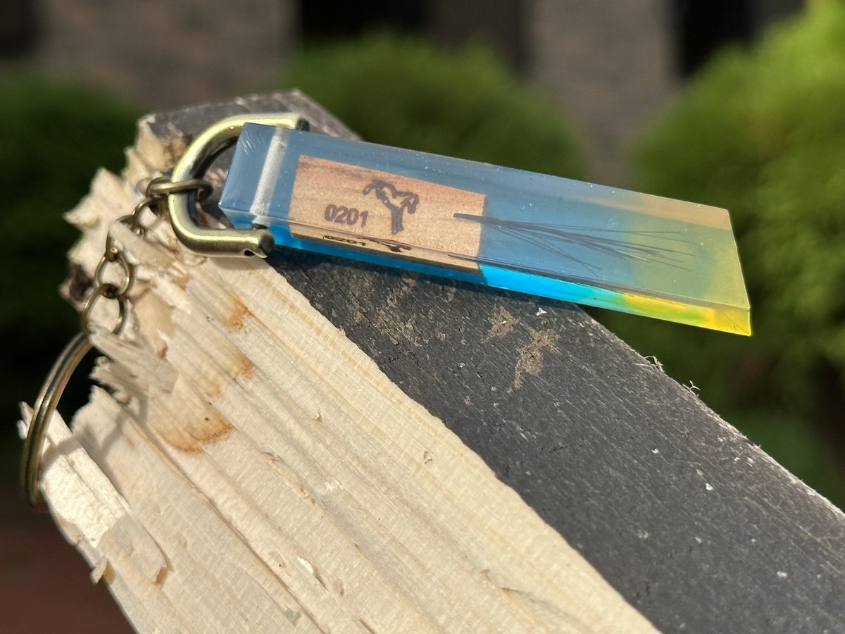 タニノギムレット 牧柵利用たてがみ入りキーホルダー 本日、 10/22(日