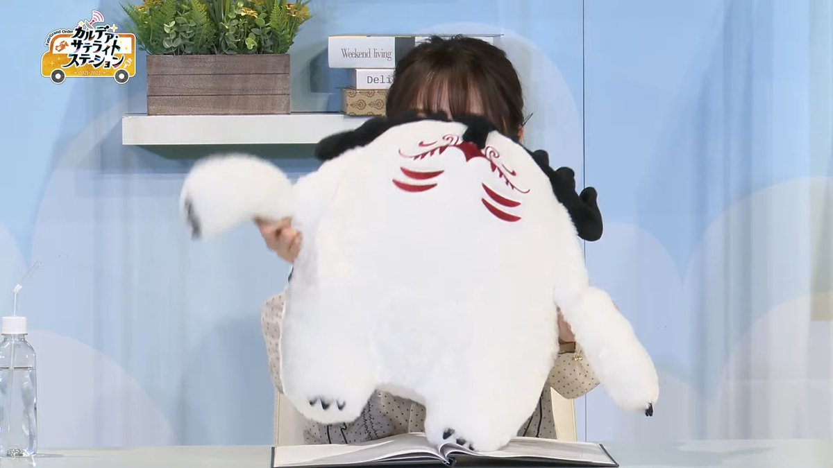 インフォメーションコーナー】 ケルヌンノスのもふもふぬいぐるみ