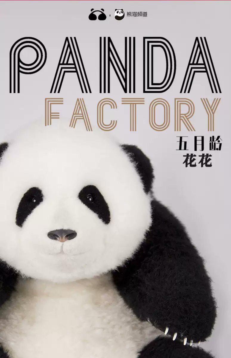 ♥️和花🌸ぬいぐるみ♥️】 iPandaさん✕パンダファクトリーさんの