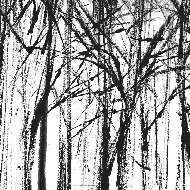 生平桜子｜Sakurako Oidaira (@sakurakooidaira) / Posts / X