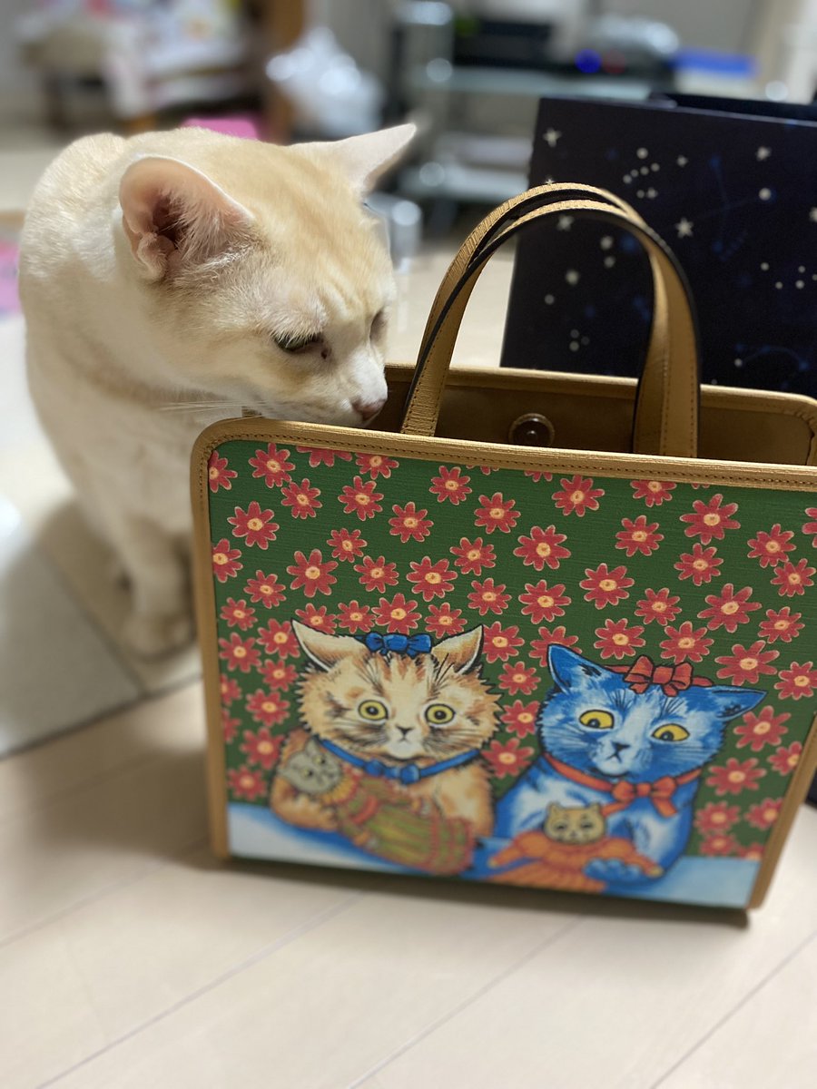 猫を愛した画家、ルイス・ウェインの映画が公開🎥 ヒグチユウコさんの