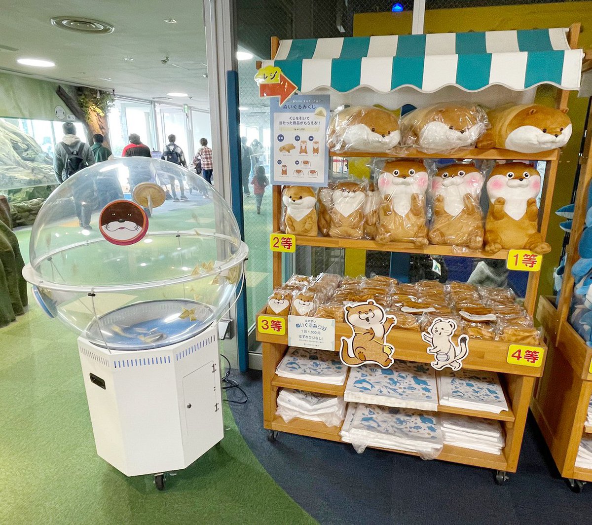 可愛い嘘のカワウソ ぬいぐるみくじ🎯 ＼ 新江ノ島水族館 オッター