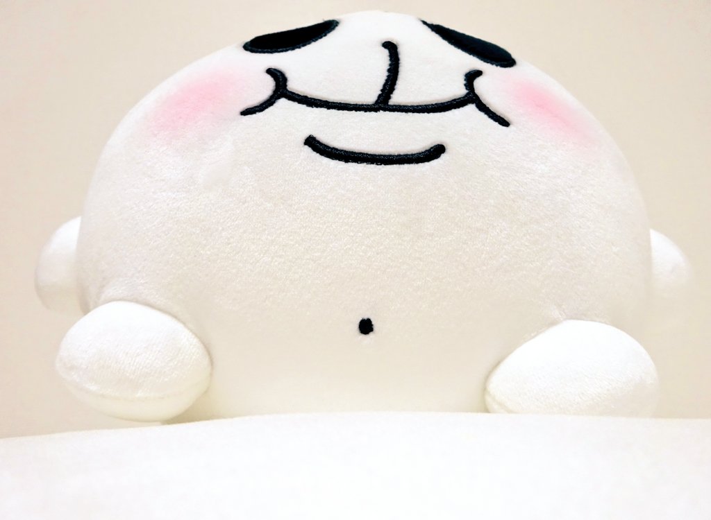 ちみたんお尻われすぎ‼️ぬいぐるみの先行予約が日本&中国にて開始