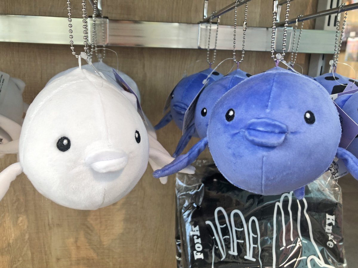 TAMU情報】ミュージアムショップに新商品が入荷しました✨✨ まずは