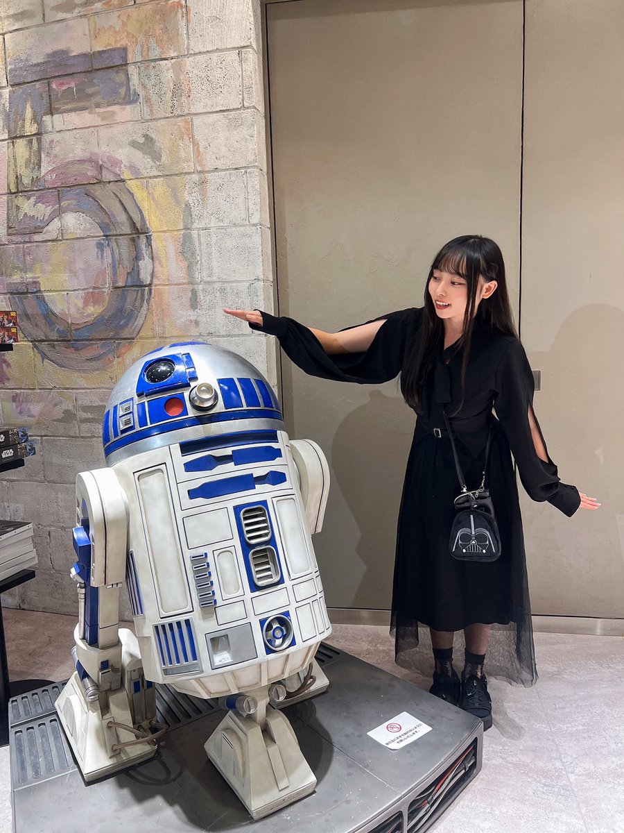 世界500セット限定品スターウォーズセレブレーションジャパン スター