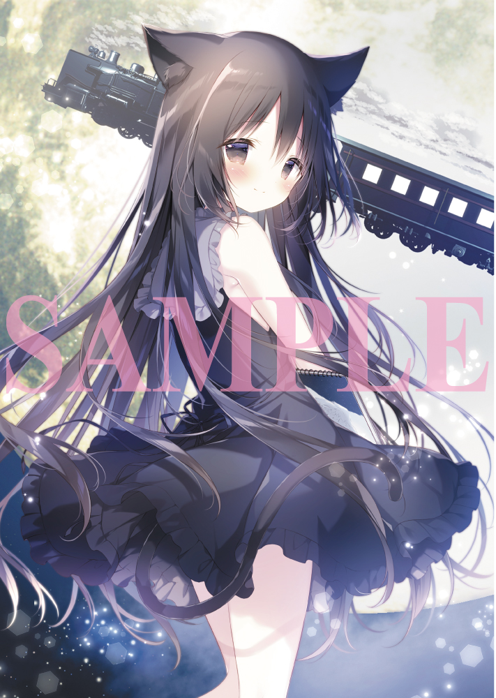 🎮予約受付中】 2025年12月11日発売 SWITCH『星空鉄道とシロの旅