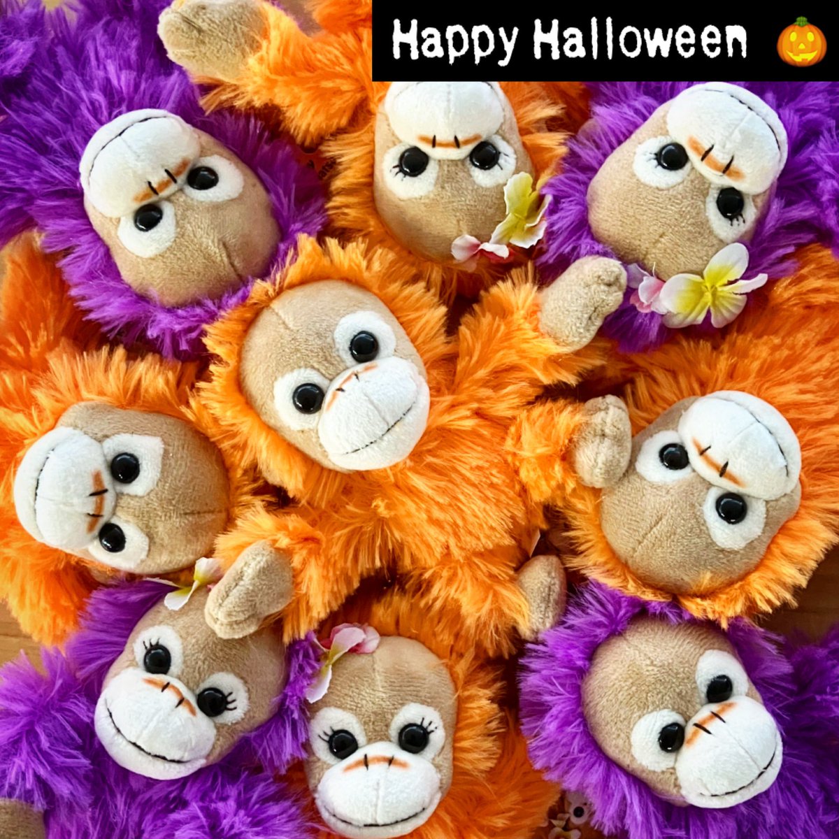 BabyCoco & Natsu 公式 (@BabyCocoNatsu1) / Posts / X