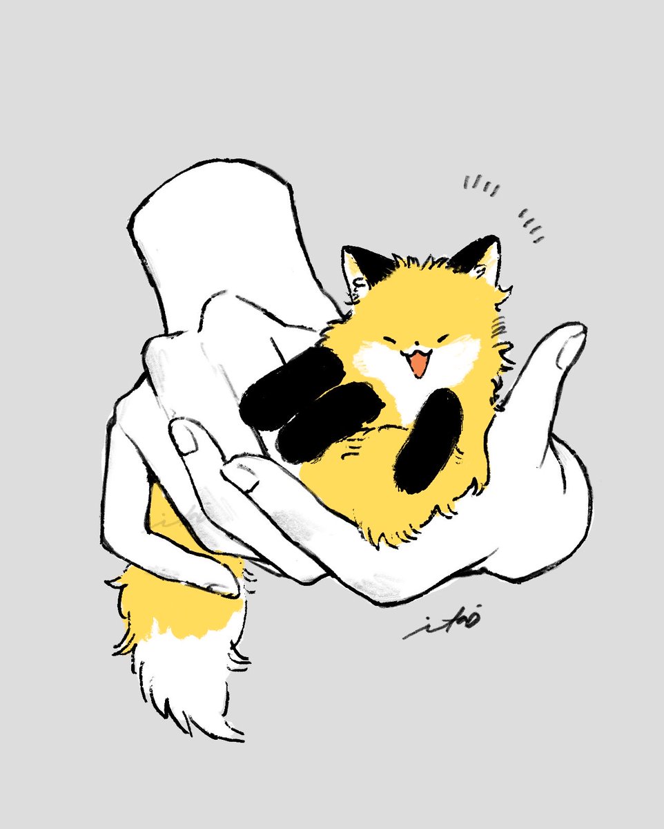 どうぞ~🫱🏻🦊🫲🏻 #イラスト #絵描き #ゆるいイラスト #狐