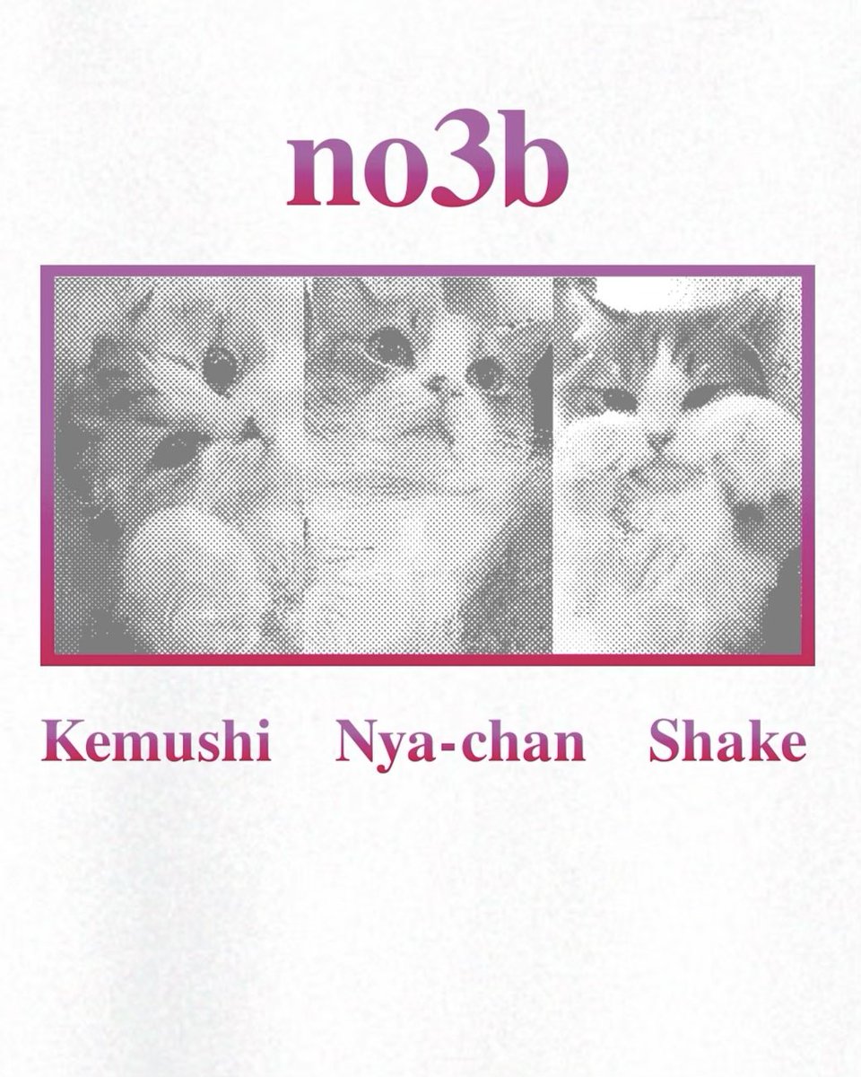 ノースリーブス【まさかの公式】 (@no3b_15th) / Posts / X