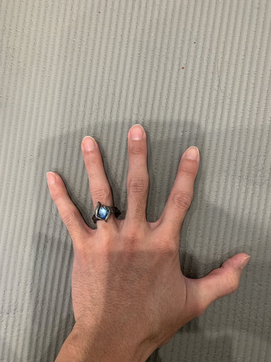 聖火神の指輪！ これが欲しくてコレクターズエディションを買った