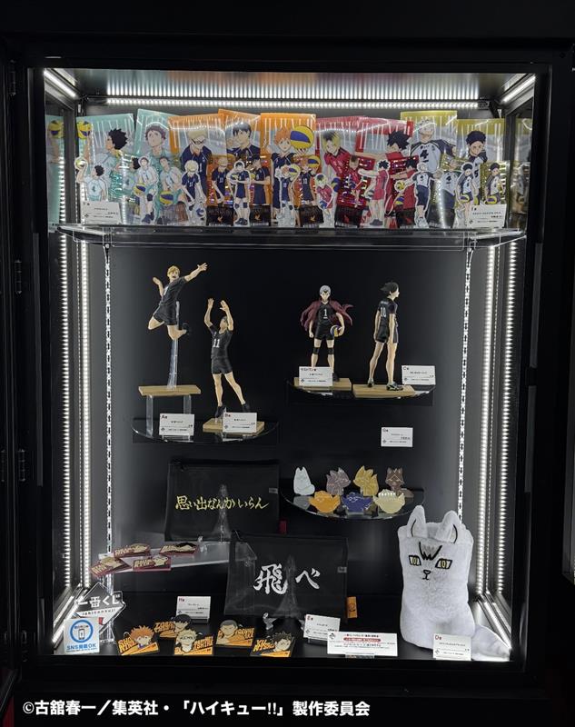 ✦・┈┈┈┈ ⋱商品展示実施⋰ #一番くじ ハイキュー!! -最強の挑戦者