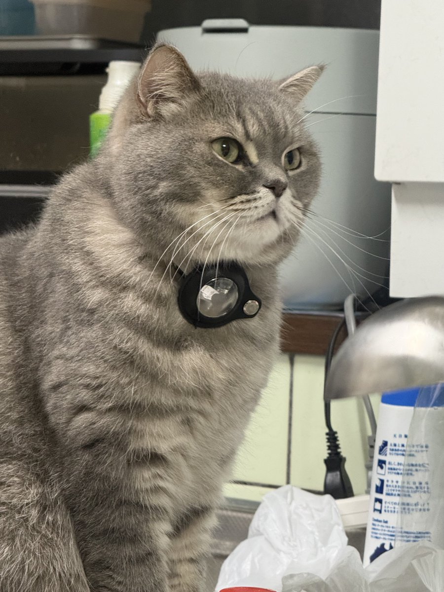 いわし先生 (@IWASHI_0723) / Posts / X