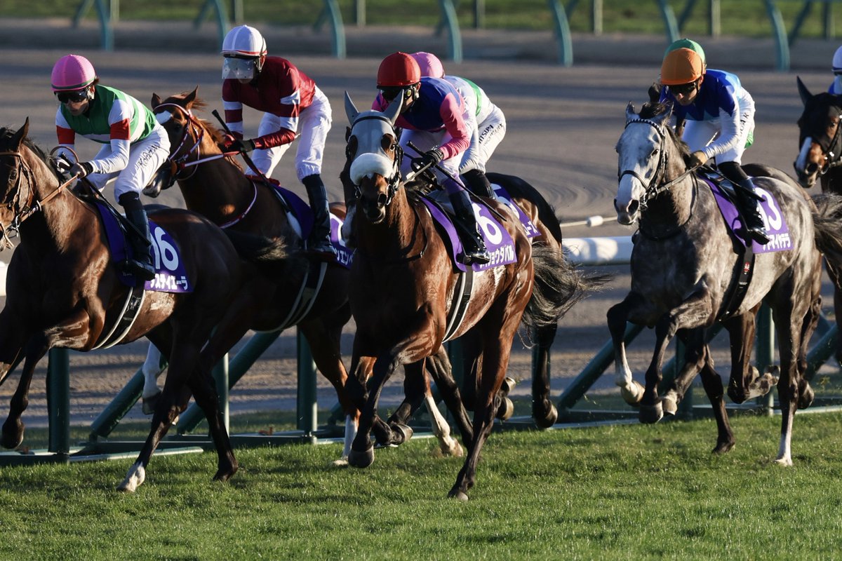 メイショウタバル