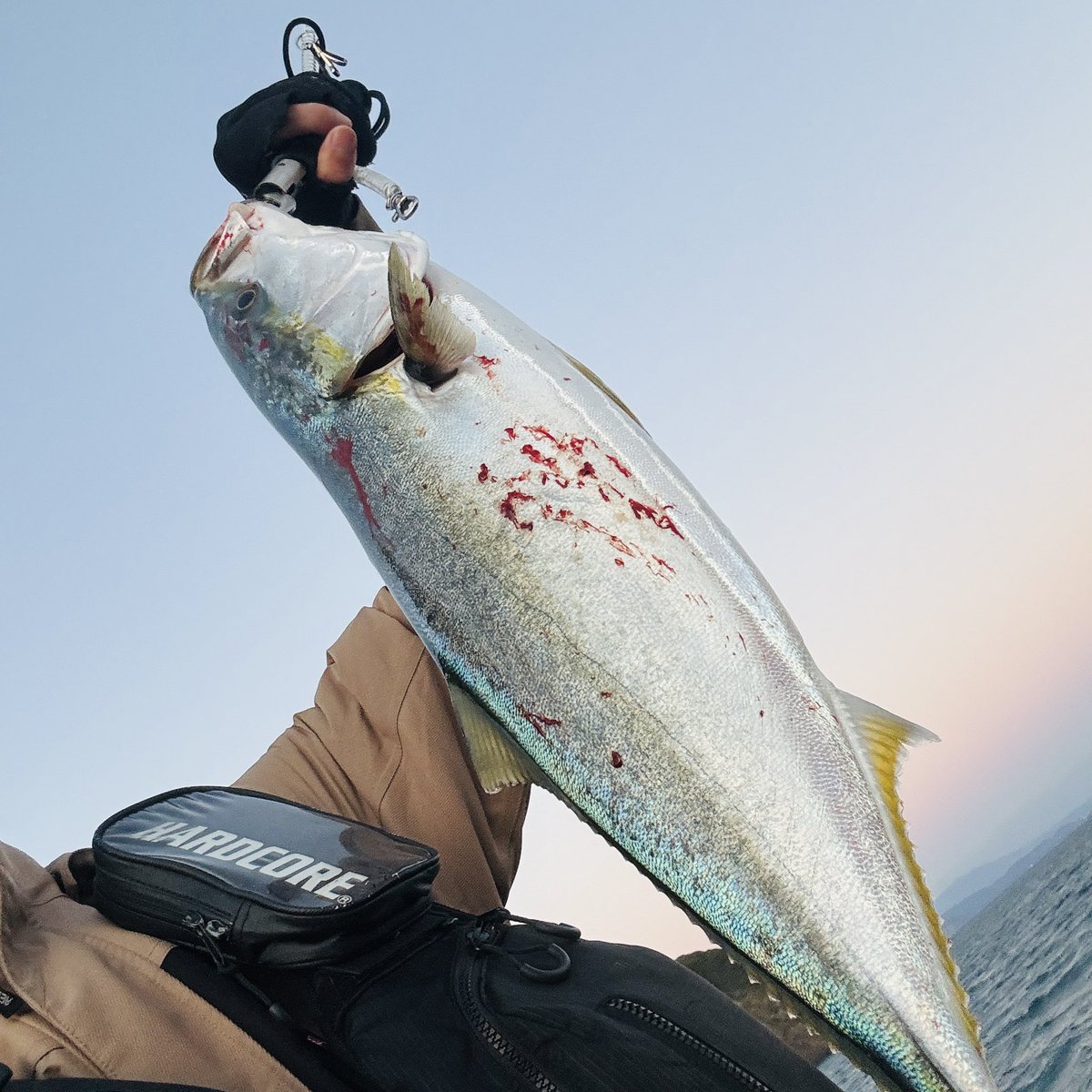 ワカメマニア │ 神崎 泰臣 (@anglerisdead) / Posts / X