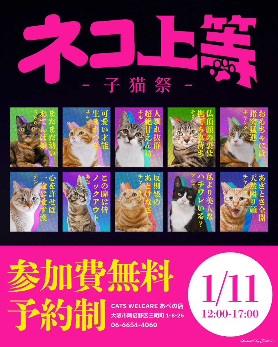 🔥🐾ネコ上等 ―子猫祭―🐾🔥 個性強めな子猫たちが大集合！ 📅1/11(日