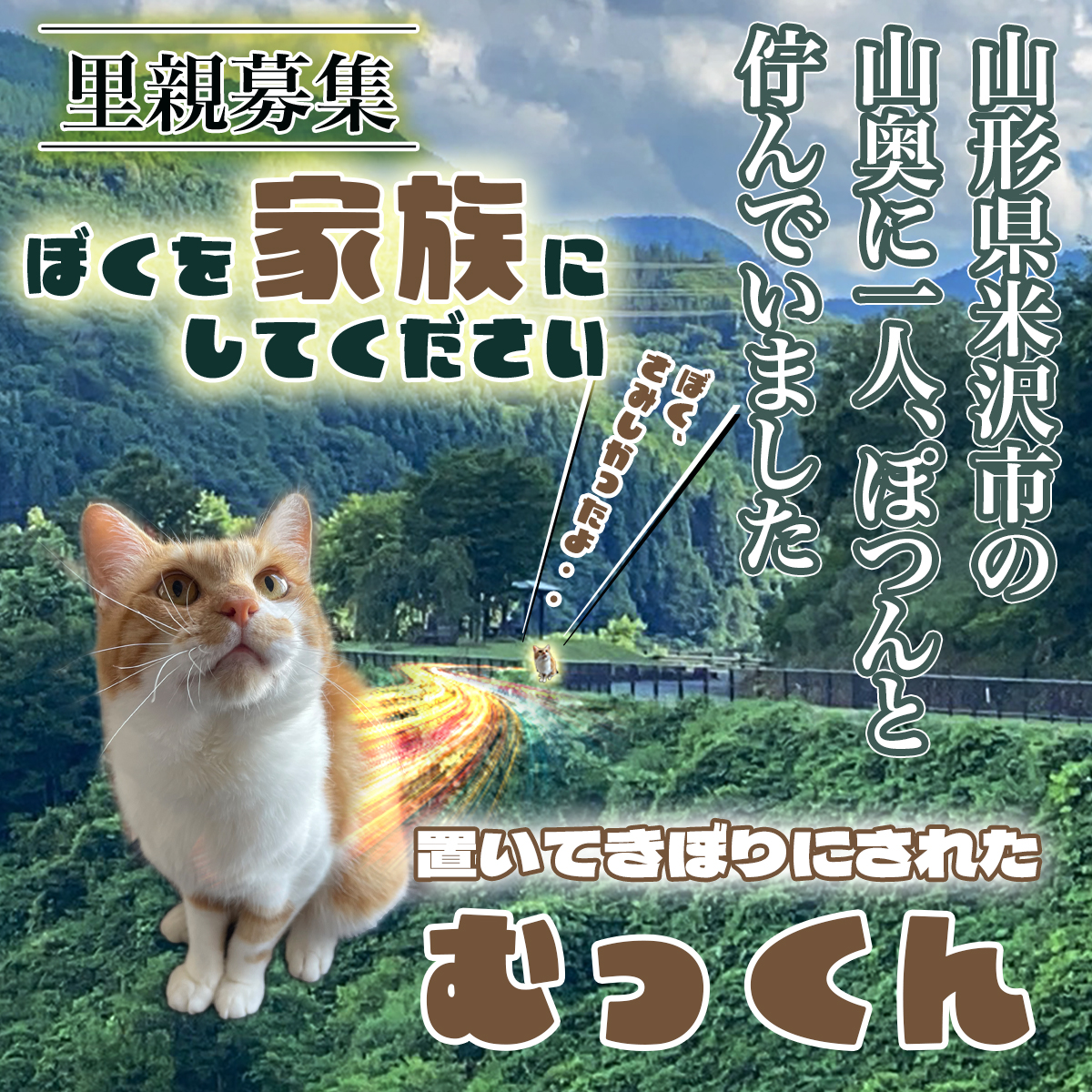 にゃん太通販+にゃっ展+にゃんにゃんBOX+猫十字 (@nyantashop) / Posts / X