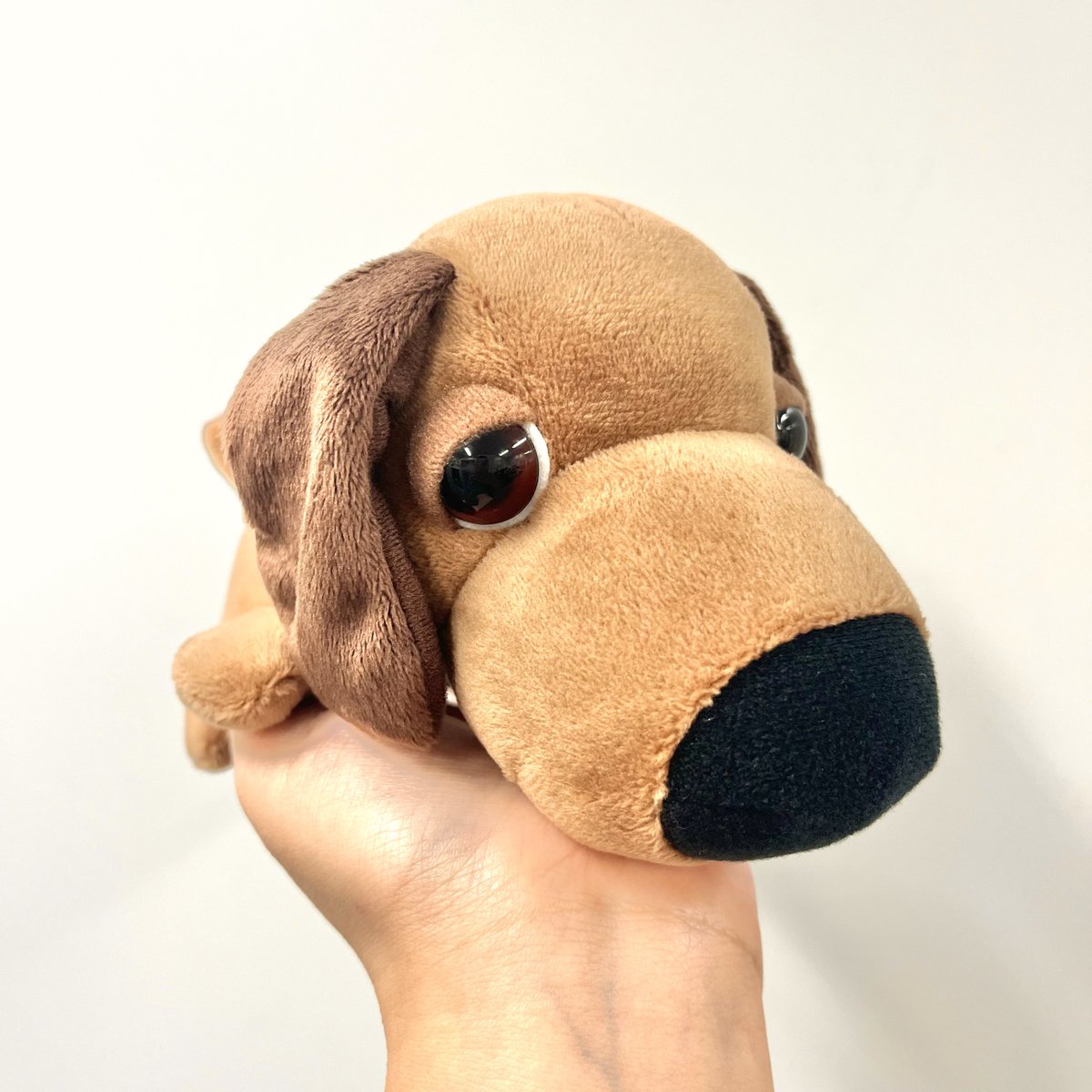 平成1桁生まれガチ歓喜(！？) 【9月3週より登場！】 楽市楽座