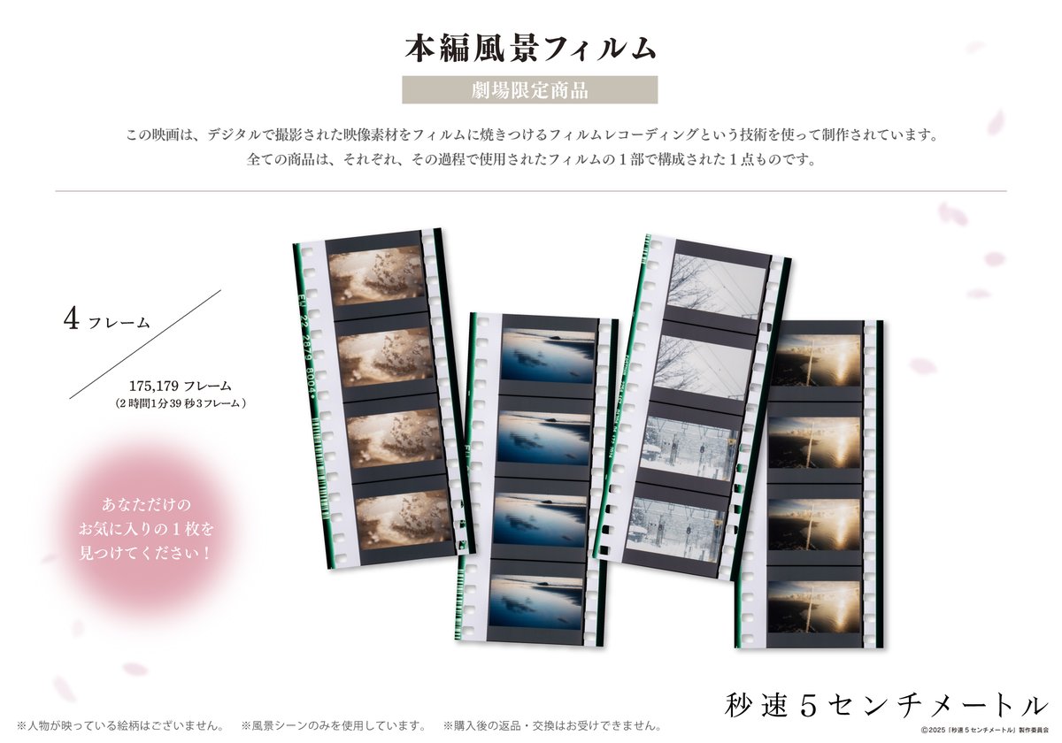 ❋.*・┈┈┈┈ 『#秒速5センチメートル』 オフィシャルグッズ販売決定