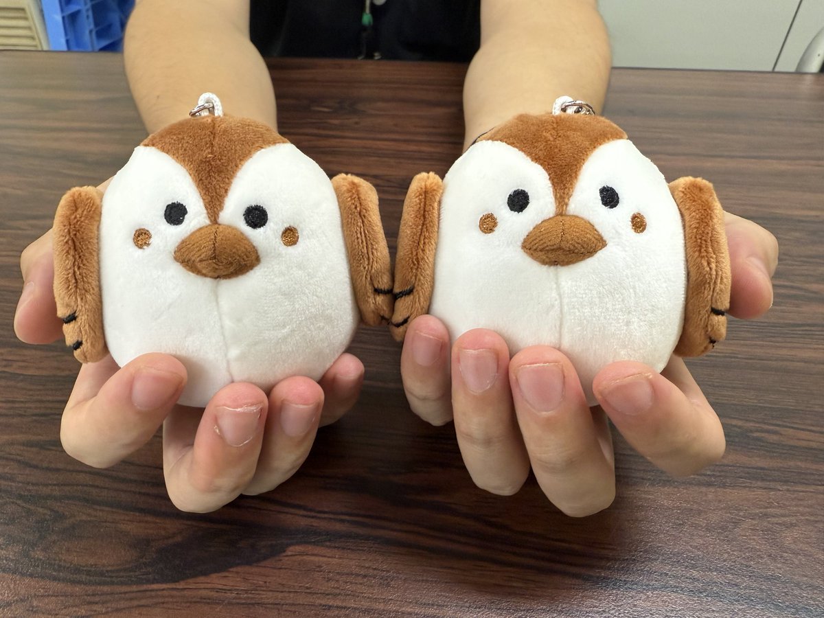 10/18(土)のバス・ちかまつりで販売！大好評の #イクスカすずめ