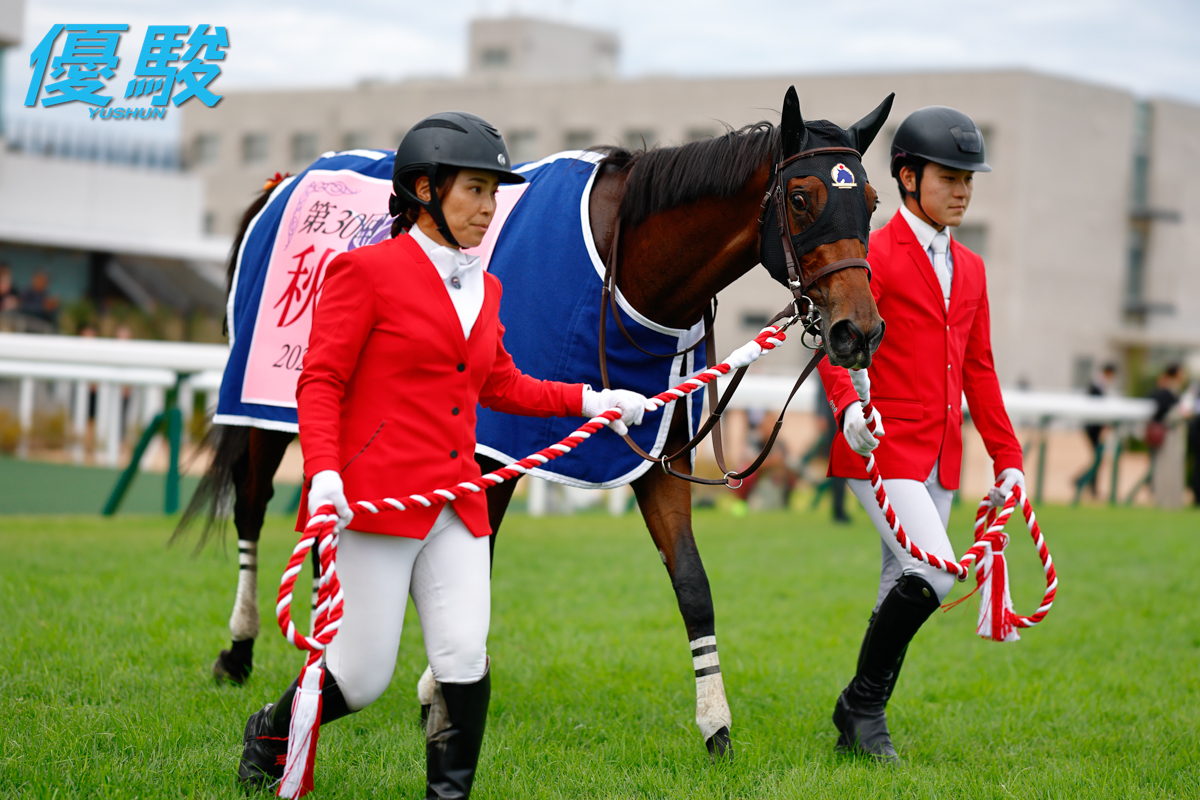 現地購入単勝馬券 アドマイヤベガ エリカ賞 ラミネート加工済み 現地