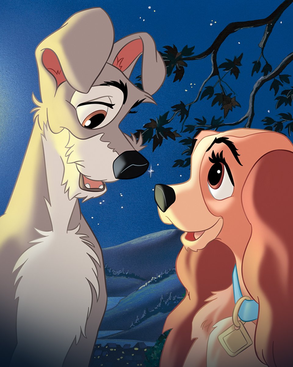 🐶『#わんわん物語』🍝 全米公開から今日で𝟟𝟘周年🎉ˊ˗ 「ベラノッテ