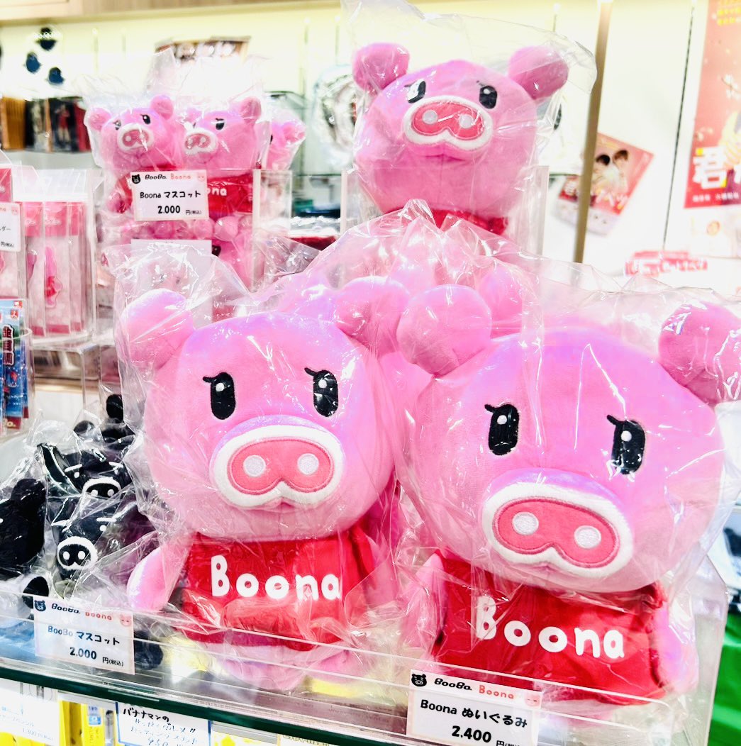 🩷お待たせしました🩷 沢山のお問い合わせをいただいていた「#ブーナ