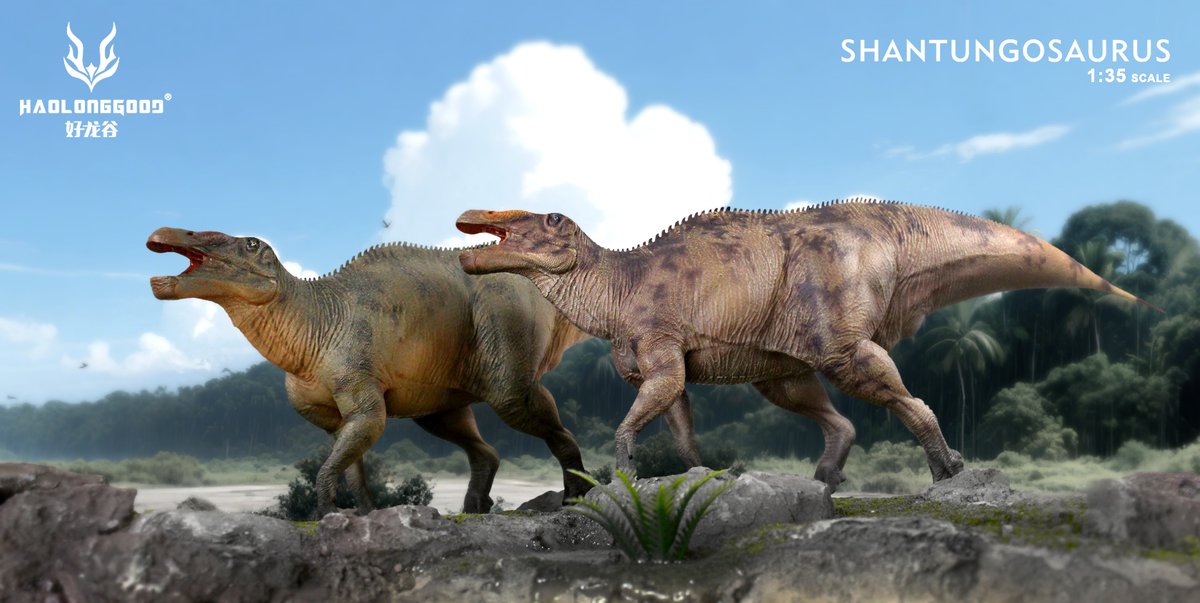 HAOLONGGOOD 新作「1/35 シャントゥンゴサウルス」登場！🦕✨ サイズは