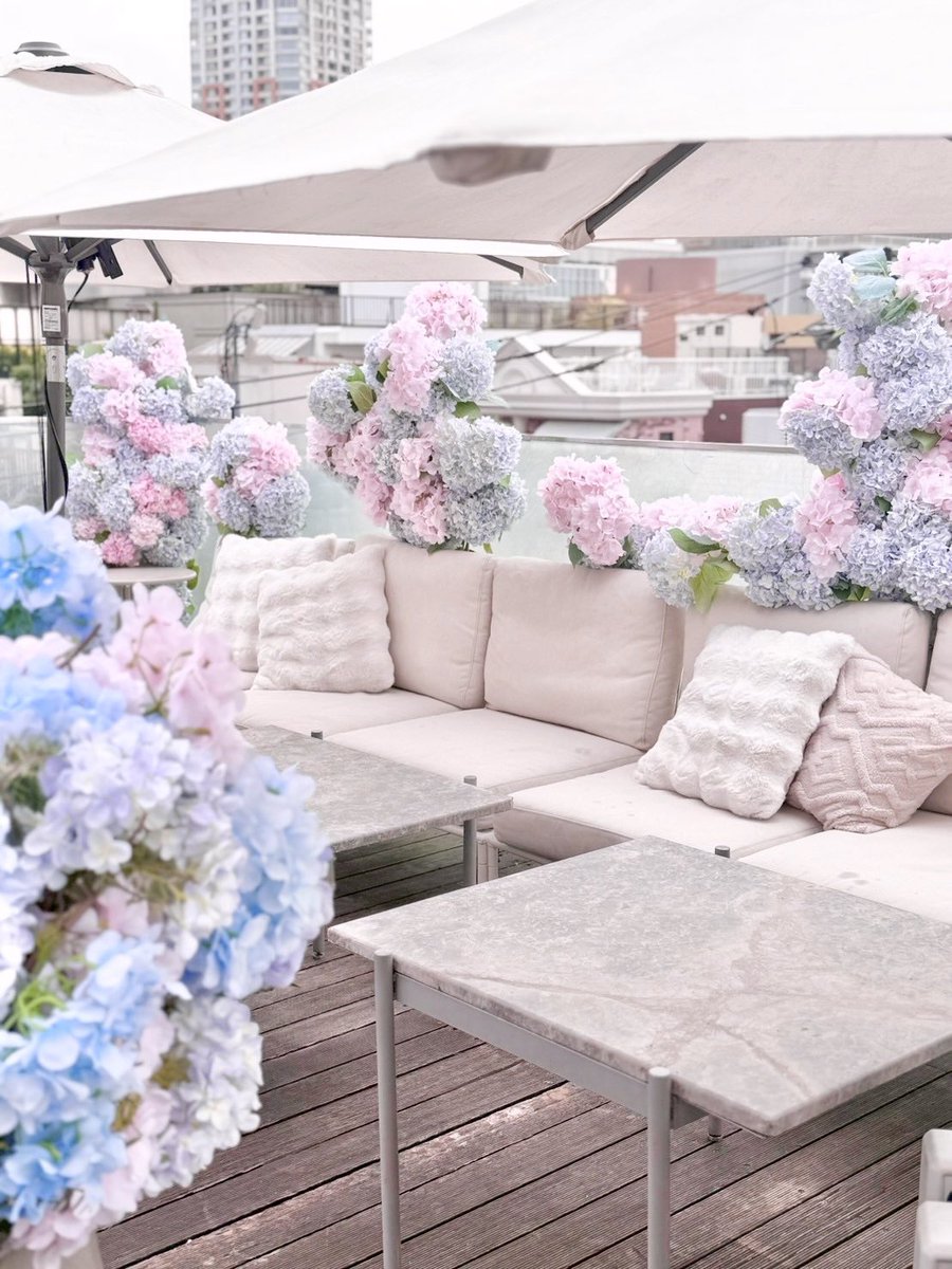 🩵☁️🪽🎀 🧸🫧🩵☁️🪽🎀 🧸🫧 🩵 ＼ピンクと水色の紫陽花テラス