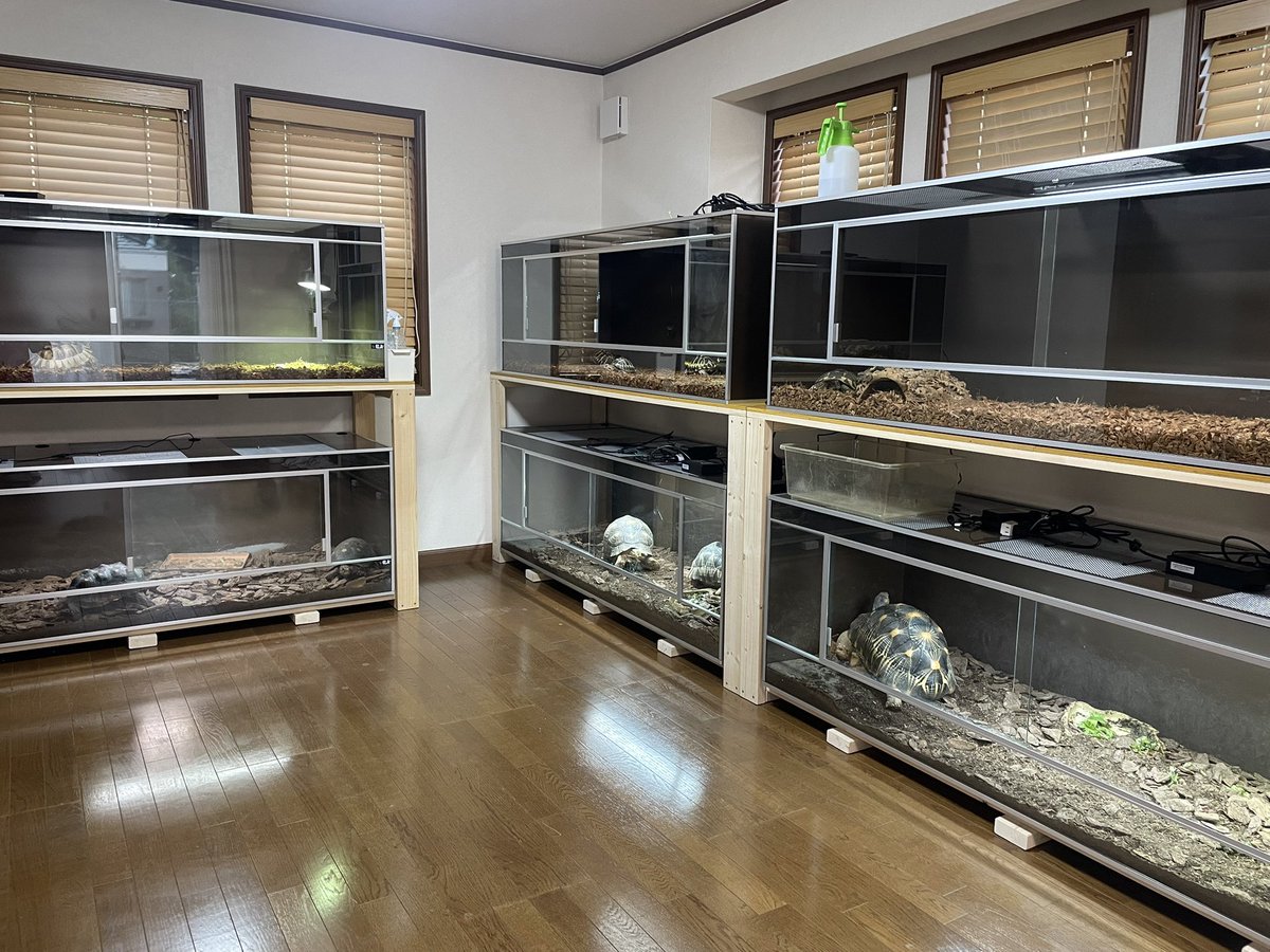 先日 4回目のお引渡しをさせて頂きましたお客様より 龍匠ケージ勢揃い