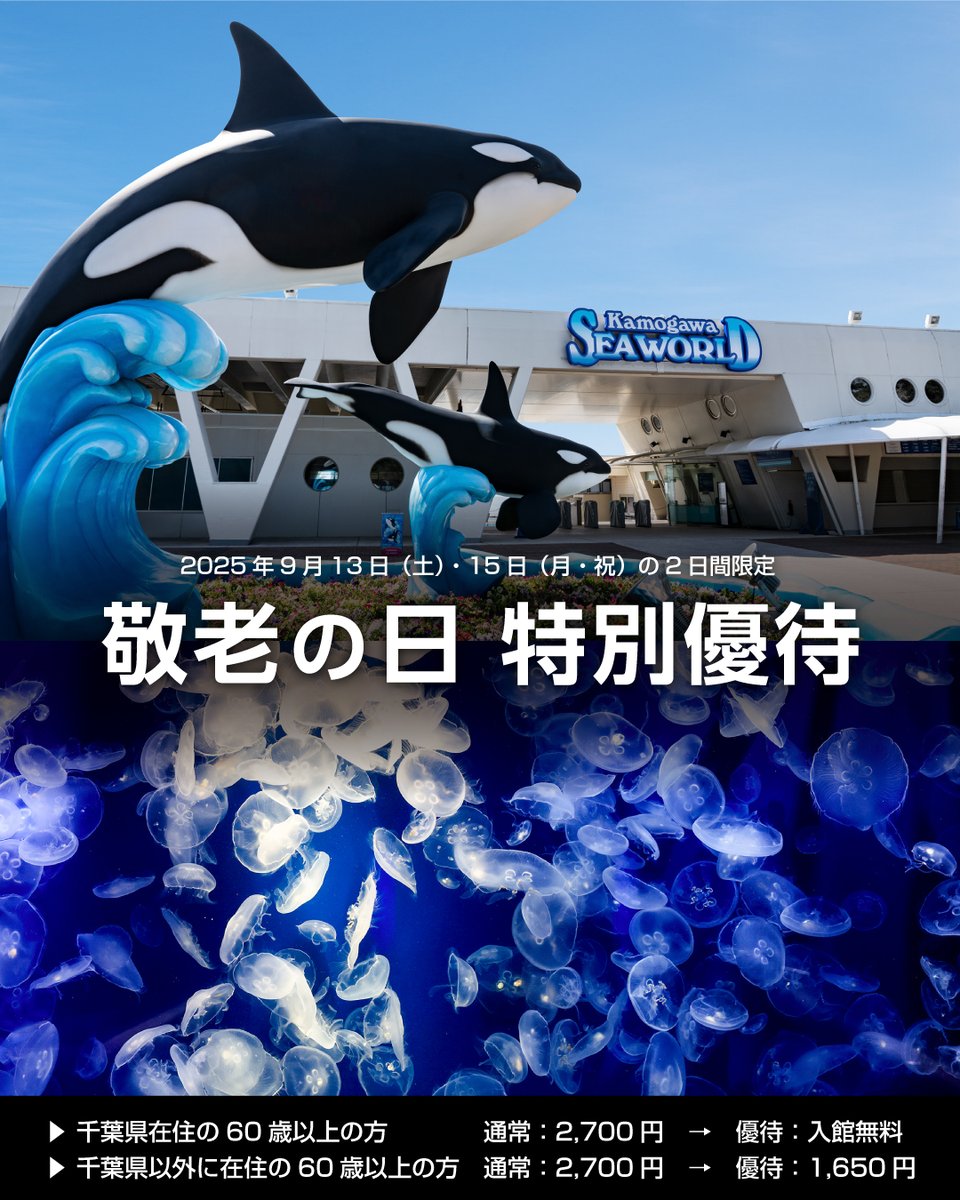 【レア】鴨川シーワールド開園40周年記念　【鴨川シーワールドのなかまたち】 希少】開園40周年記念 鴨川シーワールドのなかまたち シャチ オルカ