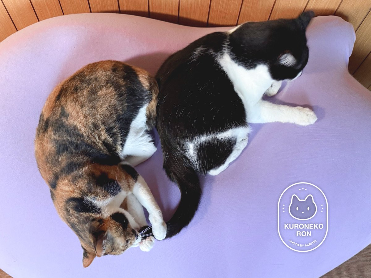 ママのしっぽをわしづかみ、口へ──……