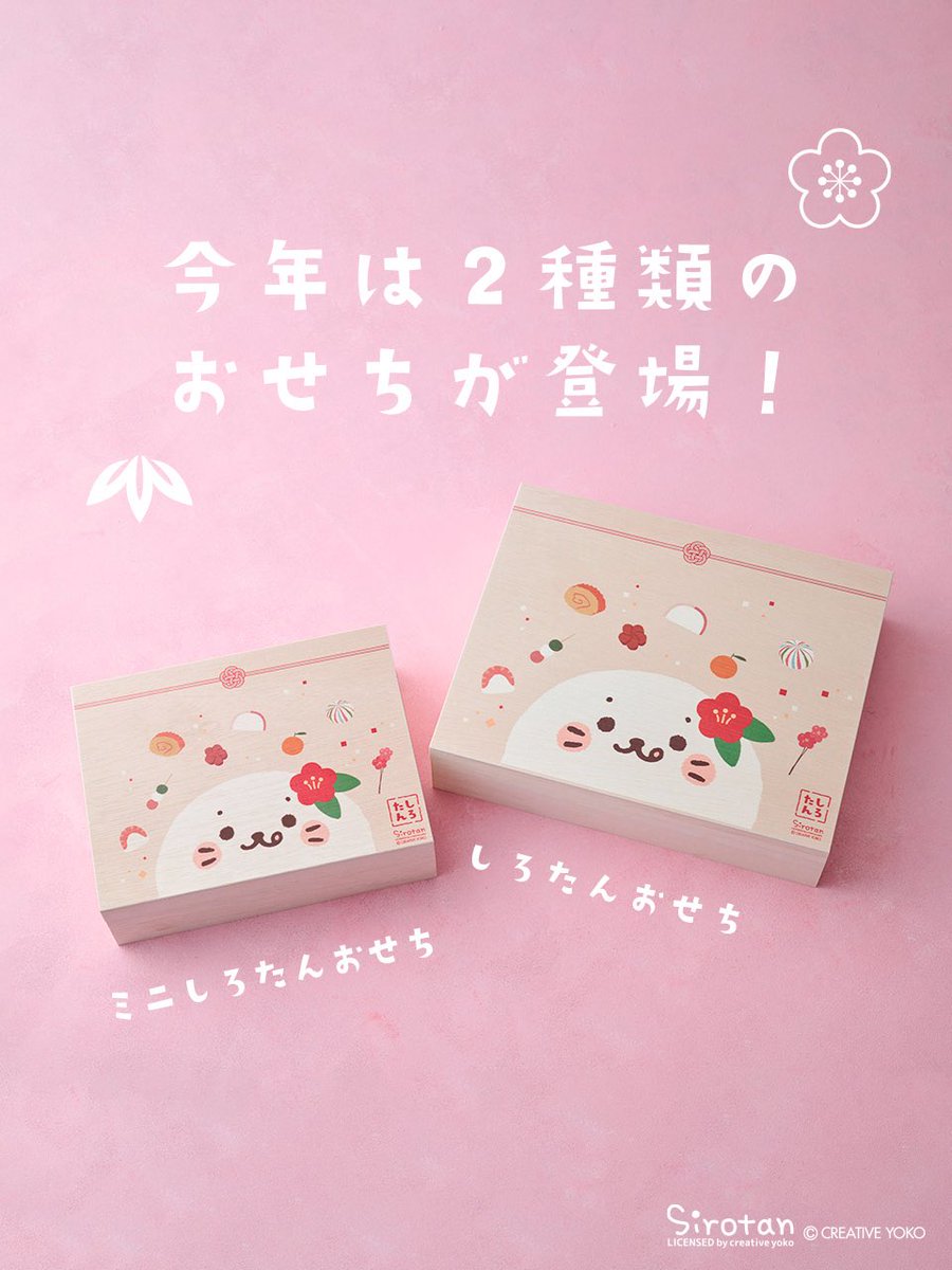 しろたんおせち2026 発売まであと7日／ 今年は「おせちは気になるけど