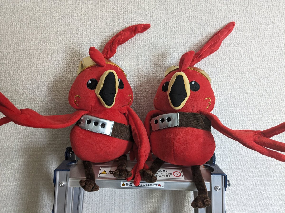 GLlwkUqbYAAXtHZ.jpg?format=jpg