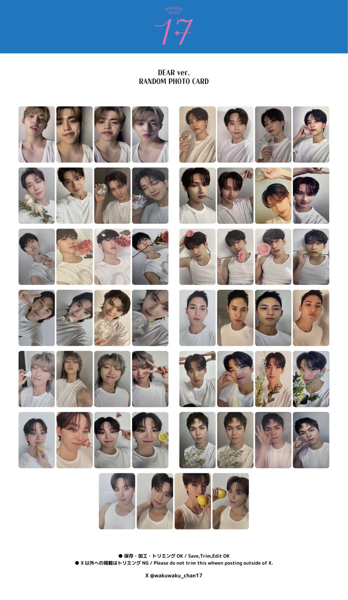 SEVENTEEN BEST ALBUM [17 IS RIGHT HERE] ◇ DEAR ver. PHOTOCARD