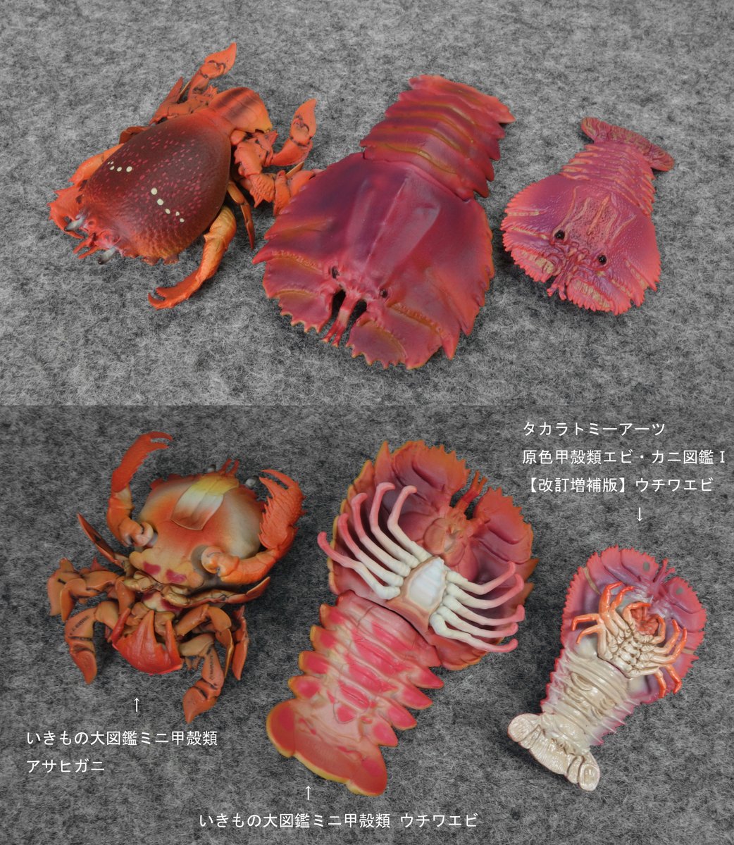 原色甲殻類エビ・カニ図鑑Ⅰ 改訂増補版カプセル未開封品□立体