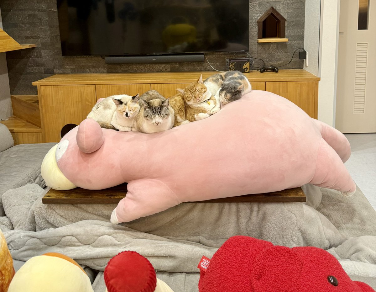 ヤドン、大人気すぎる