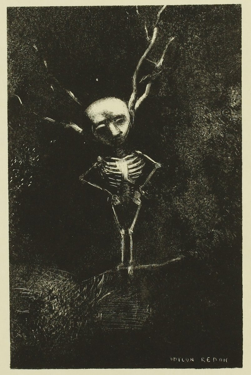 ルドンは書籍の挿絵も手掛けました。7点の石版画が挿入されたのは