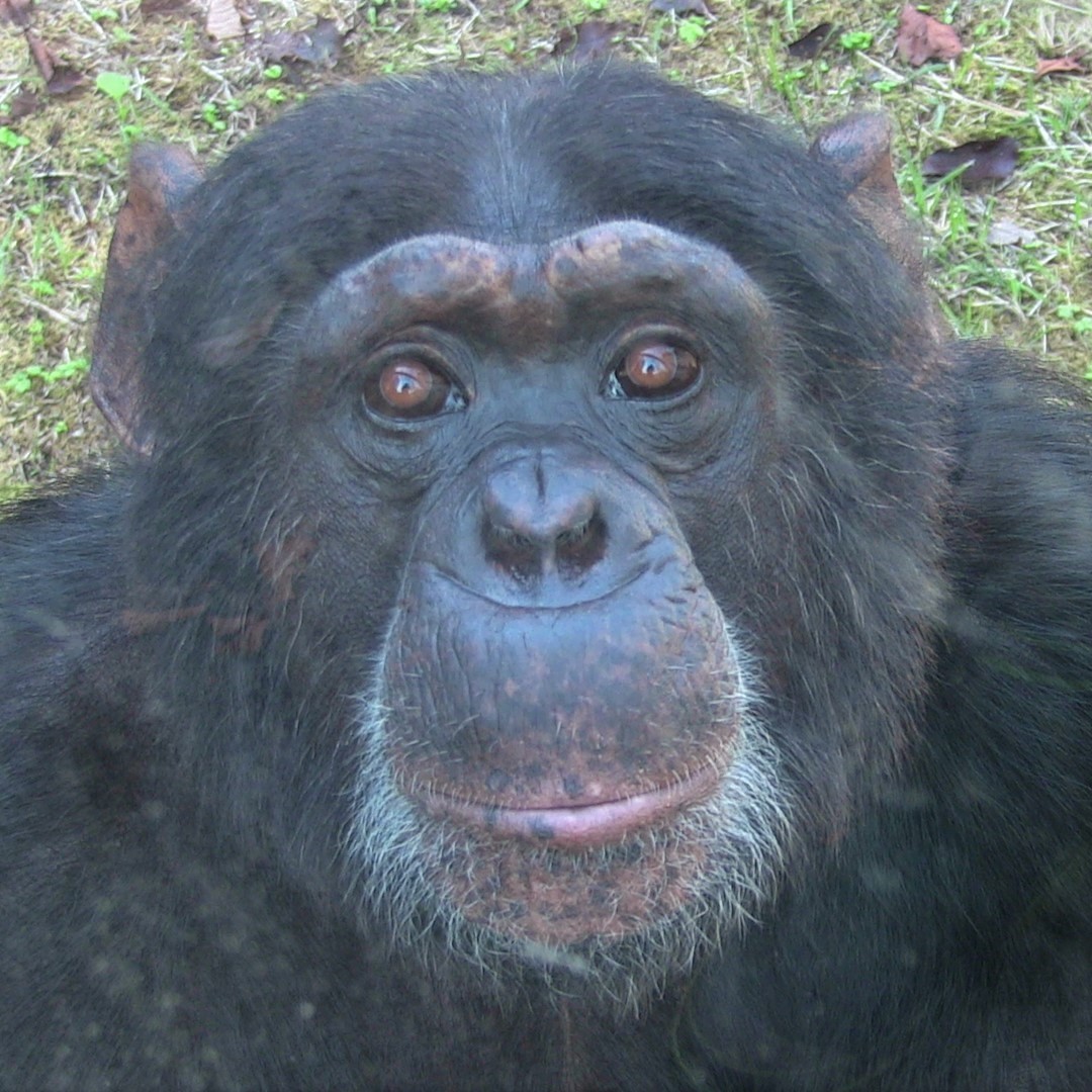 GbBoZOma8AAH7gZ.jpg?format=jpg