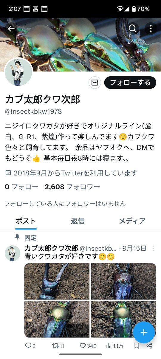 カブ太郎クワ次郎 (@1978insectkbkw) / Posts / X