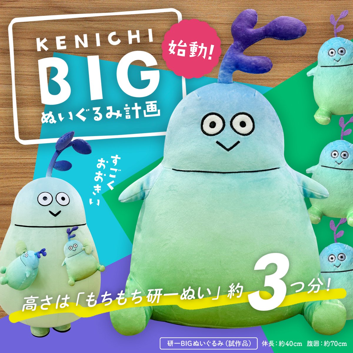 ◥◣✨研一BIGぬい計画始動✨◢◤ ぎゅっと抱きしめたくなるような