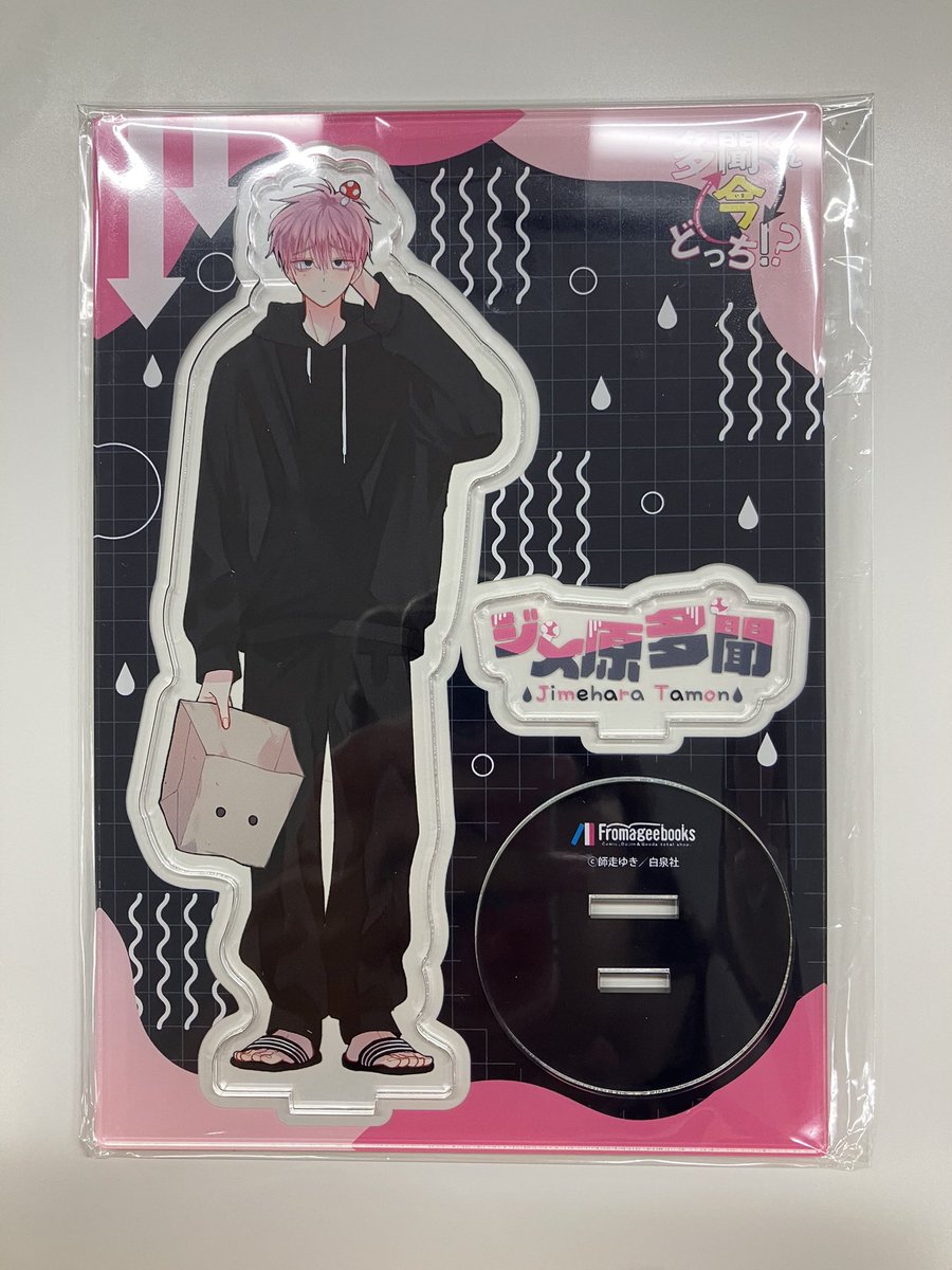 多聞くん今どっち！？ 多聞くん今どっち 4巻 坂口桜利 メロンブックス