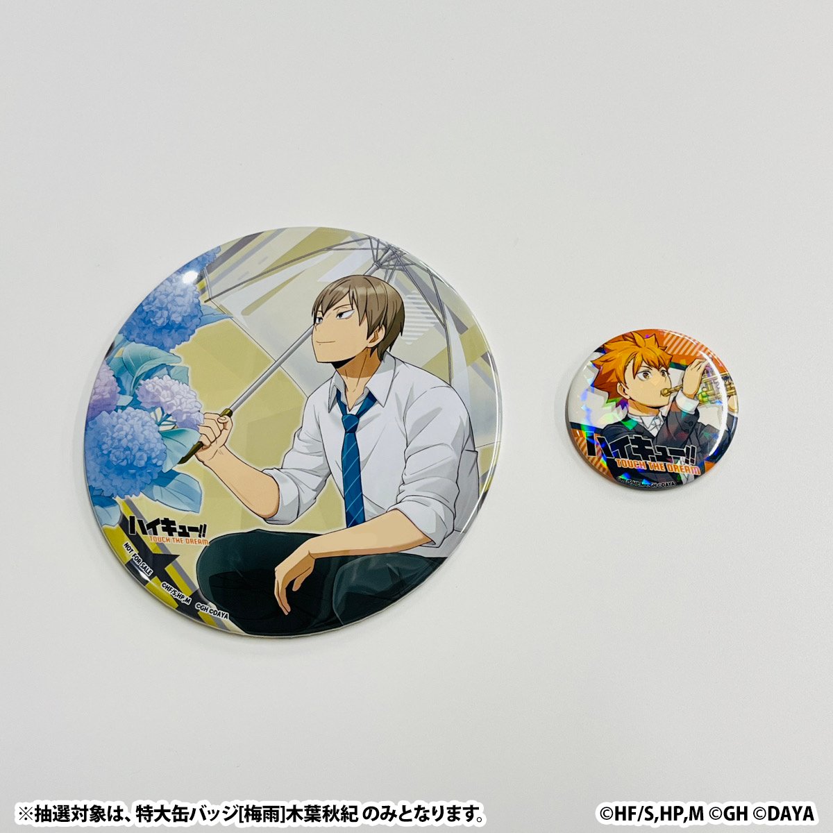 ハイドリ 宮治RPG 特大缶バッチ ハイドリ 宮治RPG 特大缶バッチ