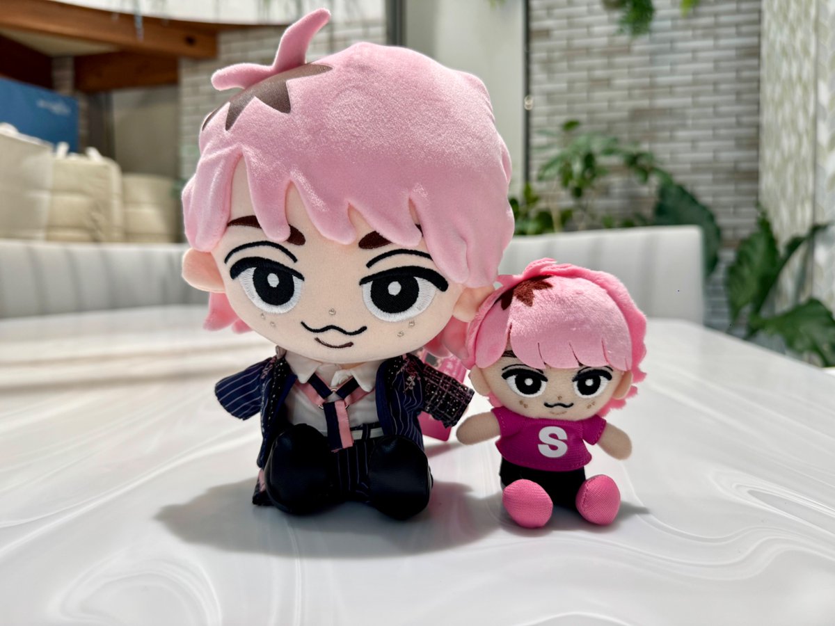 さっくん、チルぬいとBIGぬいの比較画像の提供ありがとうー🙇‍♀️