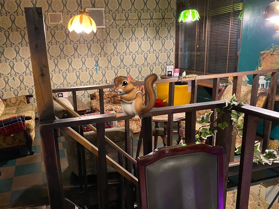 20250225 ホンジュンが行ったカフェ☕️ 【cafe太陽ノ塔 GREEN WEST店