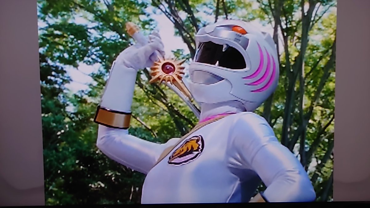 竹内実生 さんお誕生日おめでとうございます！🎂🐯 #百獣戦隊