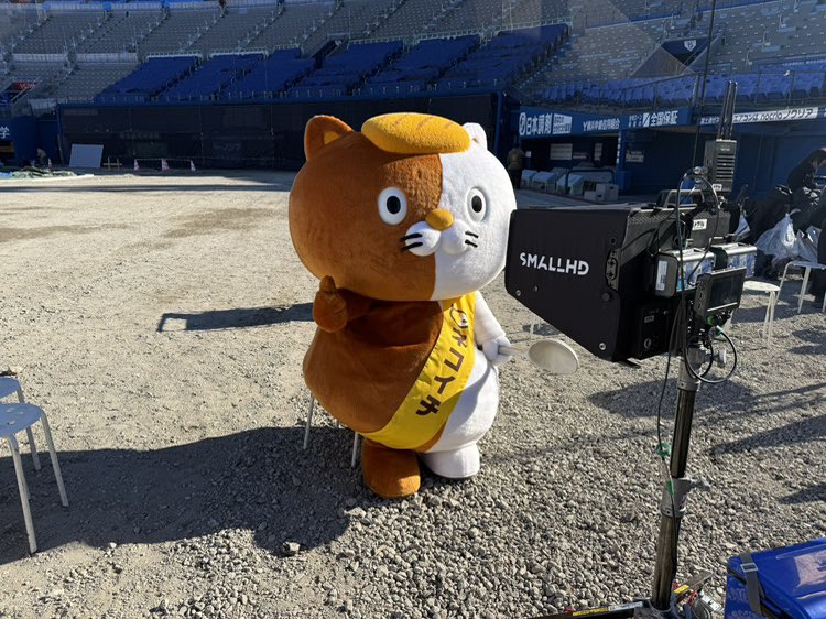 ☀️ #日向坂46 × #ココイチ ☀️ 「行くぞ!!ココイチ de HAPPY