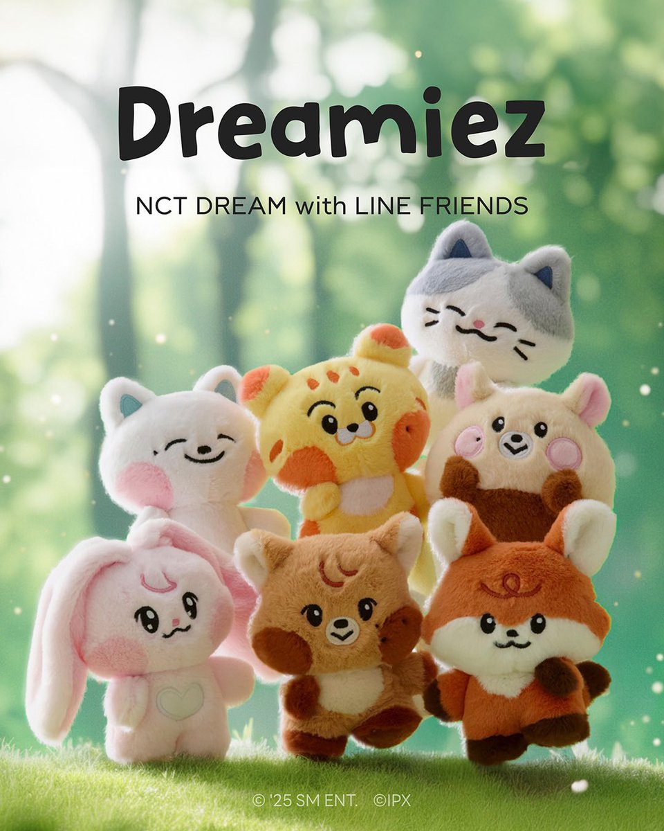 NCT DREAM LINE FRIENDS Dreamiez🧸 ＼ ドリム ✖️ ラインフレンズ